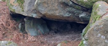 Point of interest Fontainebleau - Unnamed POI - Photo