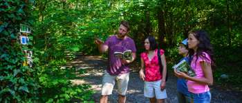 Point d'intérêt Marche-en-Famenne - Site naturel du Fond des Vaulx - Photo