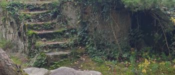 Point d'intérêt Le Vaudoué - potala2 - Photo