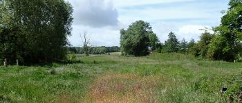 Punto di interesse Genappe - Vues est et ouest dans la Rue de la Goyette - Photo