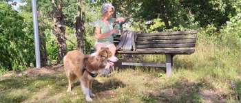 Point of interest Herbeumont - Unnamed POI - Photo