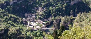 Punto di interesse Gorges du Tarn Causses - Village de Saint Chély - Photo