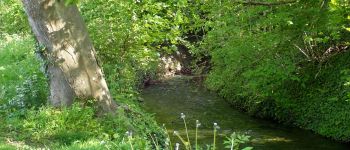 POI Chaumont-Gistoux - Rive du Train sur le sentier Rwalète - Photo