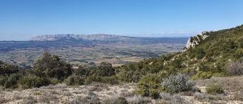 Point d'intérêt Trets - vue sur la sainte victoire - Photo