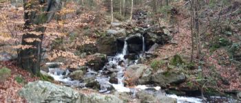 Point d'intérêt Jalhay - La cascade des nuttons - Photo
