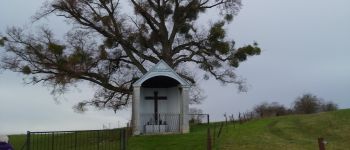 Point d'intérêt Beaumont - calvaire - Photo