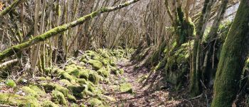 Punto di interesse Chirac-Bellevue - Sur le sentier - Photo