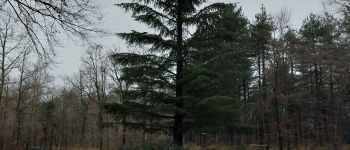 Point of interest Fontainebleau - Unnamed POI - Photo