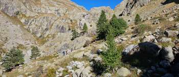 Point d'intérêt Belvédère - le mur des Italiens - Photo