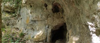 Punto di interesse Lantenay - La-Cave-aux-Loups - Photo