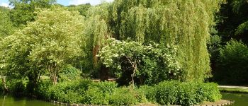 Point d'intérêt Ottignies-Louvain-la-Neuve - Vues du plan d'eau du Bois des Rêves - Photo