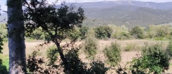 Point d'intérêt Taulignan - la lance dans le dos - Photo