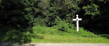 POI Saint-Crépin-aux-Bois - Point 25 - Photo