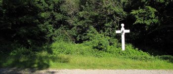 Point d'intérêt Saint-Crépin-aux-Bois - Point 25 - Photo