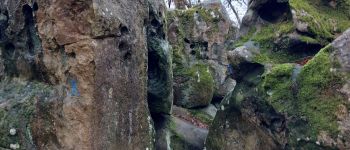 Point d'intérêt Fontainebleau - K - Photo