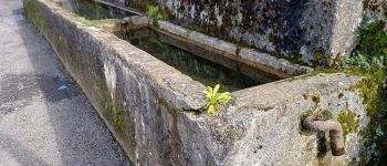 Point d'intérêt Accous - lavoir - Photo