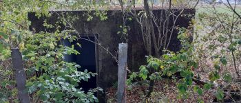 Point d'intérêt Neufchâteau - Fortification - Photo