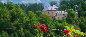 Point d'intérêt Waimes - Château de Reinhardstein - Photo