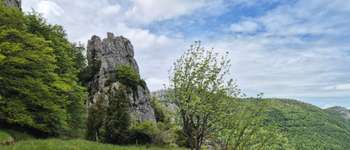 Point d'intérêt Bouvante - pique-nique 2 - Photo