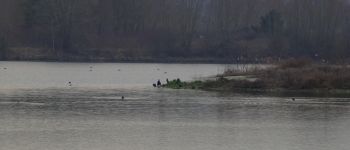 Point of interest Pont-Sainte-Maxence - l'ile aux cormorans - Photo