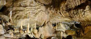 Point of interest Hotton - Grottes de Hotton - Bon plan - A visiter à proximité de la balade - Photo