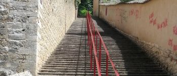 POI Beauregard - escalier - Photo