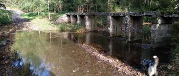 Punto de interés Moisenay - Pont Violon - Photo