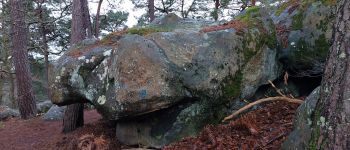 Point d'intérêt Fontainebleau - O - Le Léviathan - Photo