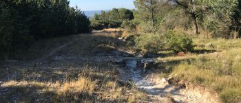 Punto di interesse Conques-sur-Orbiel - Ruisseau petit pont de pierre - Photo