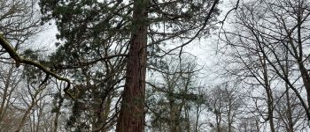 Point of interest Fontainebleau - Unnamed POI - Photo