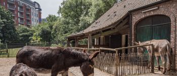 Point d'intérêt Ville de Bruxelles - Ferme du Parc Maximilien - Photo