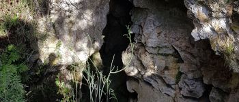 Point d'intérêt Méounes-lès-Montrieux - Aven Signoret - Photo