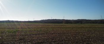 Punto di interesse Allondrelle-la-Malmaison - Parcs éoliens d'Allondrelle-la-Malmaison (France) - Photo
