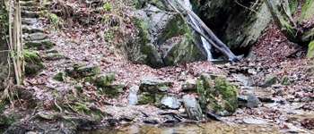 POI Theux - La cascade de Haldeboeuf - Photo