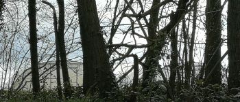 Punto de interés Braine-Le-Comte - Vue sur Serres & Ferme de Joli Bois - Photo