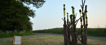Point d'intérêt Havelange - Sentiers d'Art - Le Petit bois  - Photo