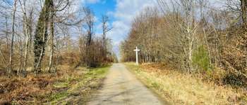 Point d'intérêt Saint-Jean-aux-Bois - Point 26 - Photo