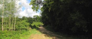 Point d'intérêt Choisy-au-Bac - Point 6 - Photo