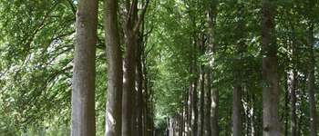 Point of interest Manage - GG-Ht-07-2_Parc de Mariemont - Photo