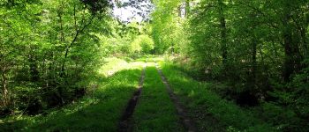 Point d'intérêt Saint-Léger-aux-Bois - Point 21 - Photo