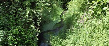 Punto di interesse Genappe - Ry d'Ondeuse à proximité du pont de la Haute Dyle - Photo