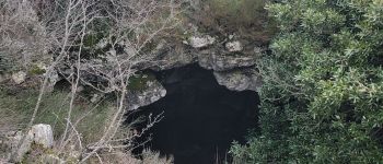 Point of interest Plan-d'Aups-Sainte-Baume - Unnamed POI - Photo