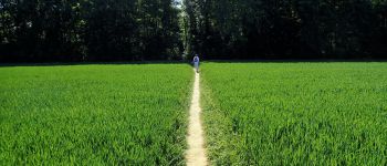 Point d'intérêt Chaumont-Gistoux - Vues sur sentier à travers champs - Photo