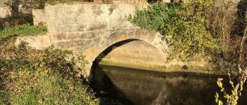 Punto di interesse Saint-Aulais-la-Chapelle - Pont romain - Photo