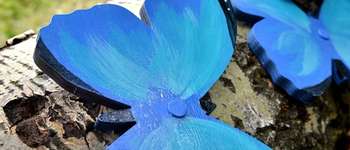 POI Hamois - Sentier d'Art - Morpho - Photo