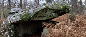 Point of interest Fontainebleau - Unnamed POI - Photo