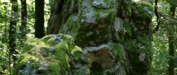 Point of interest Stavelot - Devil's Rock - Photo