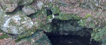 Point d'intérêt Fontainebleau - Fontaine du Touring-club - Photo