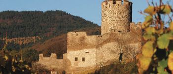 Point d'intérêt Kaysersberg-Vignoble - LE CHATEAU DE KAYSERSBERG - Photo