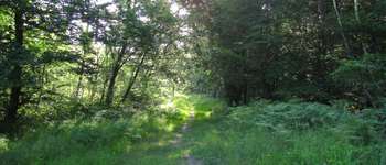 Point d'intérêt Saint-Crépin-aux-Bois - Point 26 - Photo